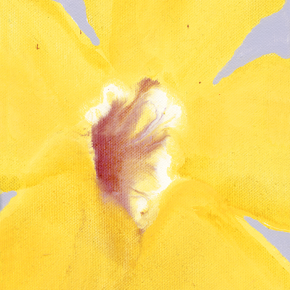 Paper Collective In Full Bloom 01 Art Print Liat Greenberg