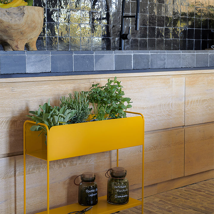 Fermob Picolino Plant Holder