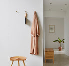 Form & Refine Angle Brass Hook