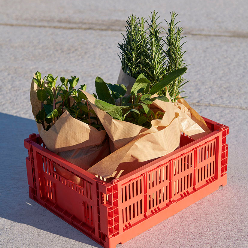 HAY Colour Crate Medium Red