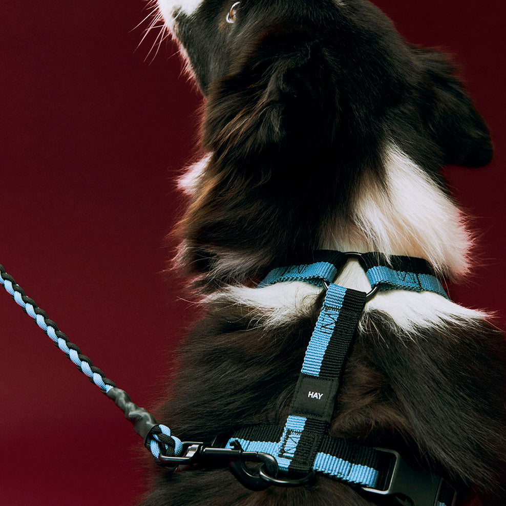 HAY Dog Harness