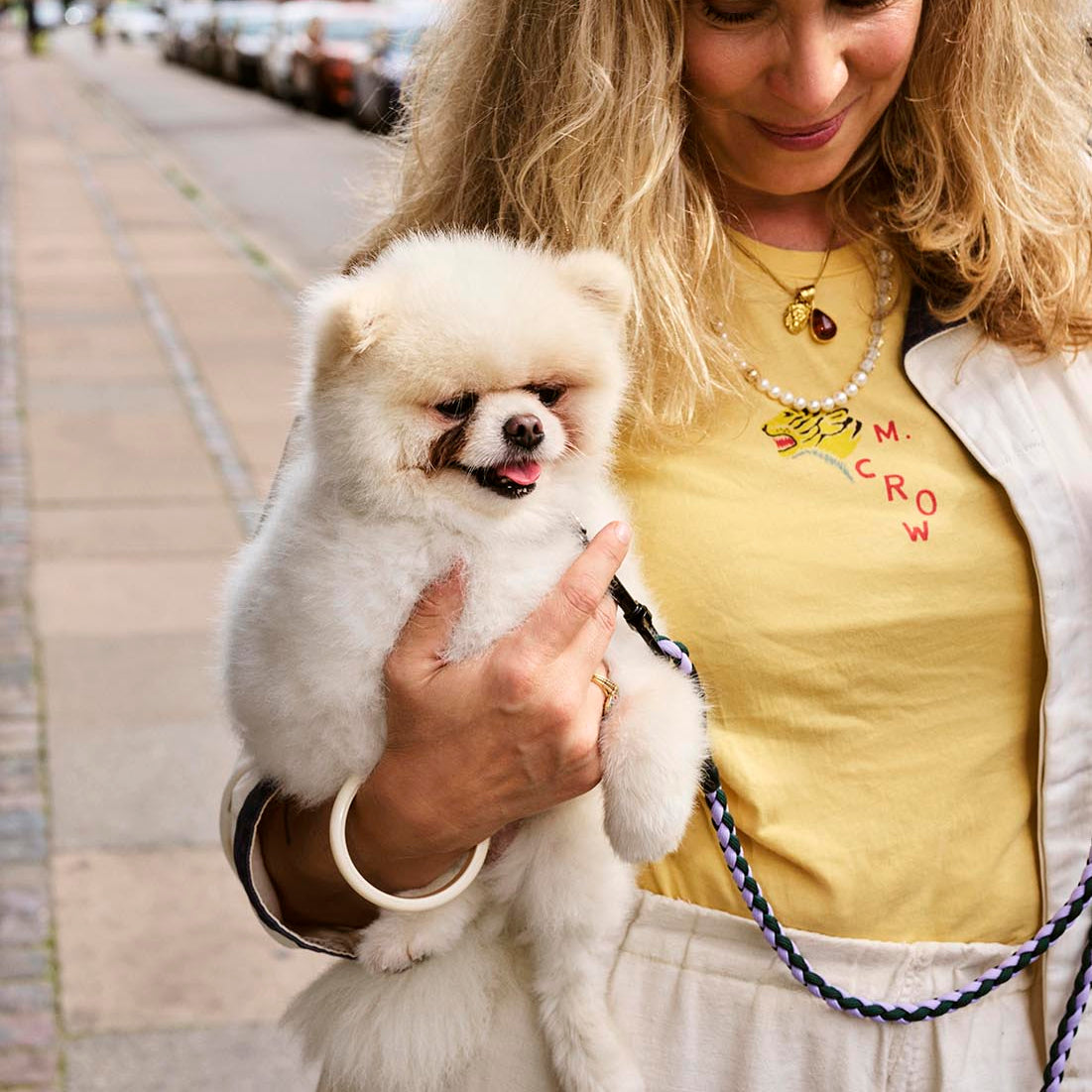 HAY Dog Leash Braided Lavender Green