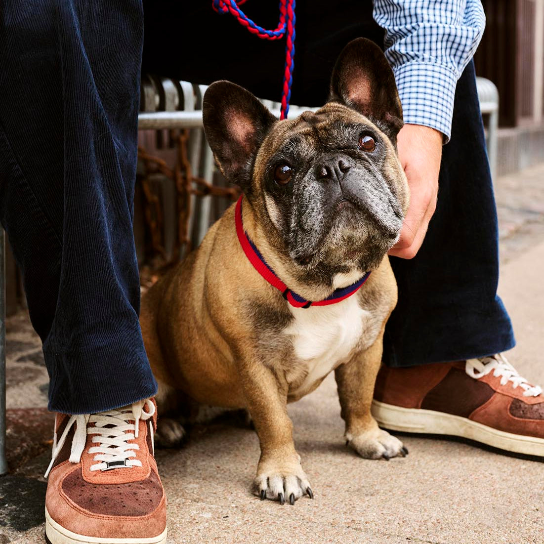 HAY Dog Leash Braided Red Blue