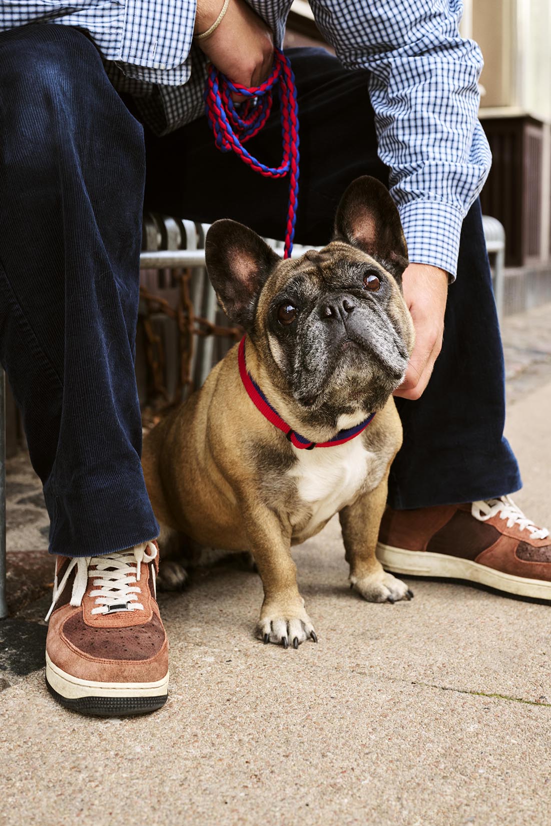 HAY Dog Leash Braided Red Blue