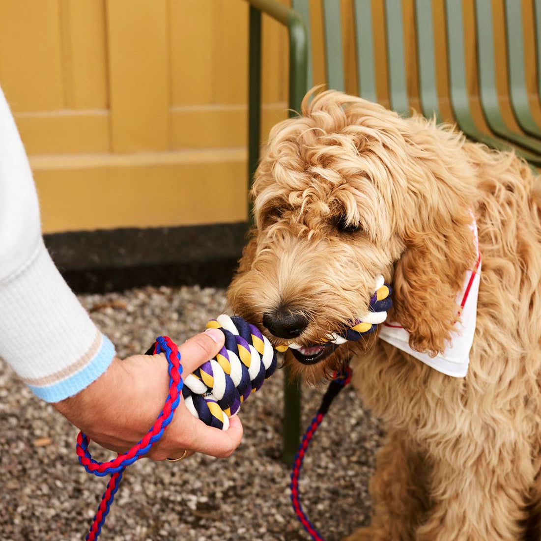 HAY Dog Leash Braided Red Blue