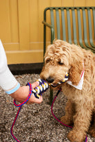 HAY Dog Leash Braided Red Blue