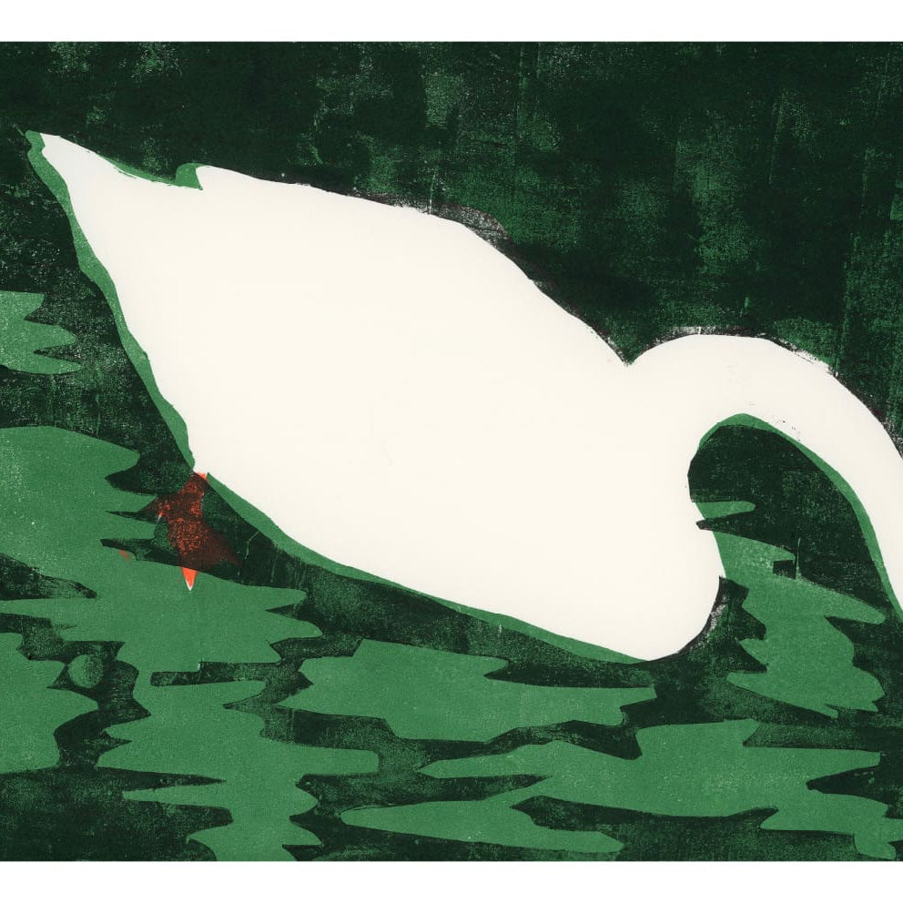 Cisne Blanco by Marina García Fernández Animal Art Print