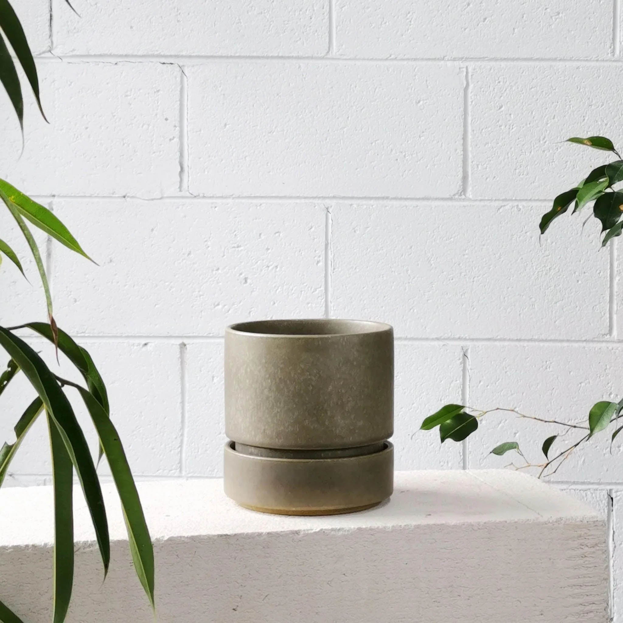 Plant Society Cora Planter Small Moss