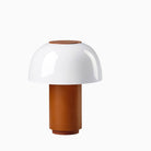 Zone Harvest Moon Lamp Terracotta