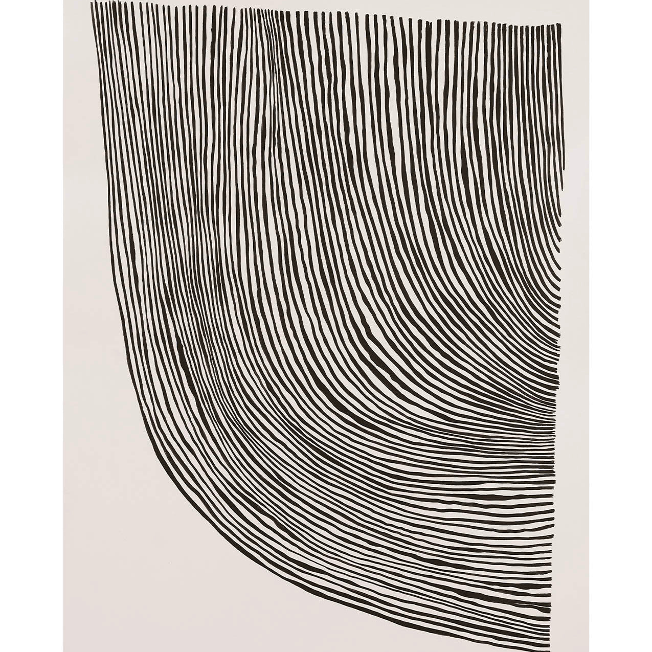 The Poster Club Curves