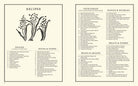 https://publishing.hardiegrant.com/media/books/9781837834891/interiors/0.jpg