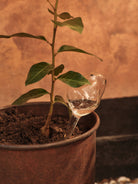 Ferm Living Mercury Glass Water Globes Small Set of 2