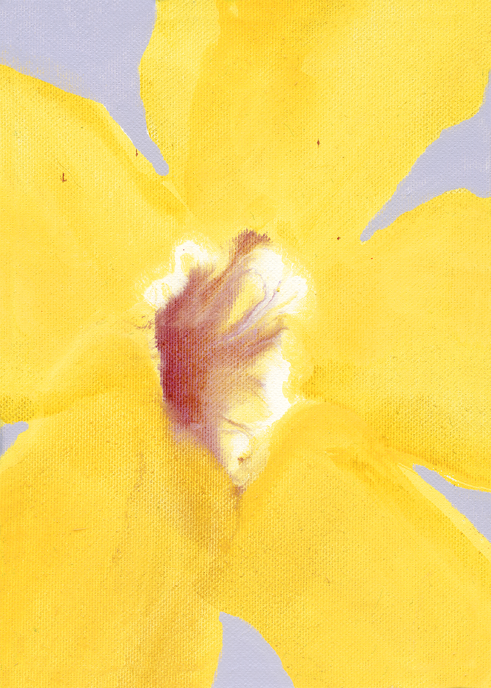 Paper Collective In Full Bloom 01 Art Print Liat Greenberg