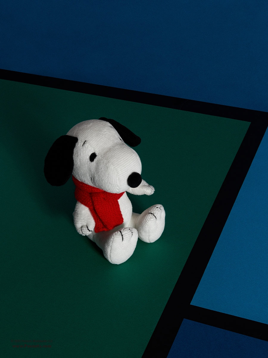 https://cdn.shopify.com/s/files/1/0643/8351/6823/files/BTT_x_Peanuts_Snoopy_with_scarf.jpg?v=1729092986