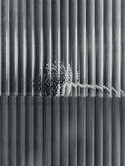 Haze Wall Cabinet - Reeded Glass - Brushed Stainless Steel