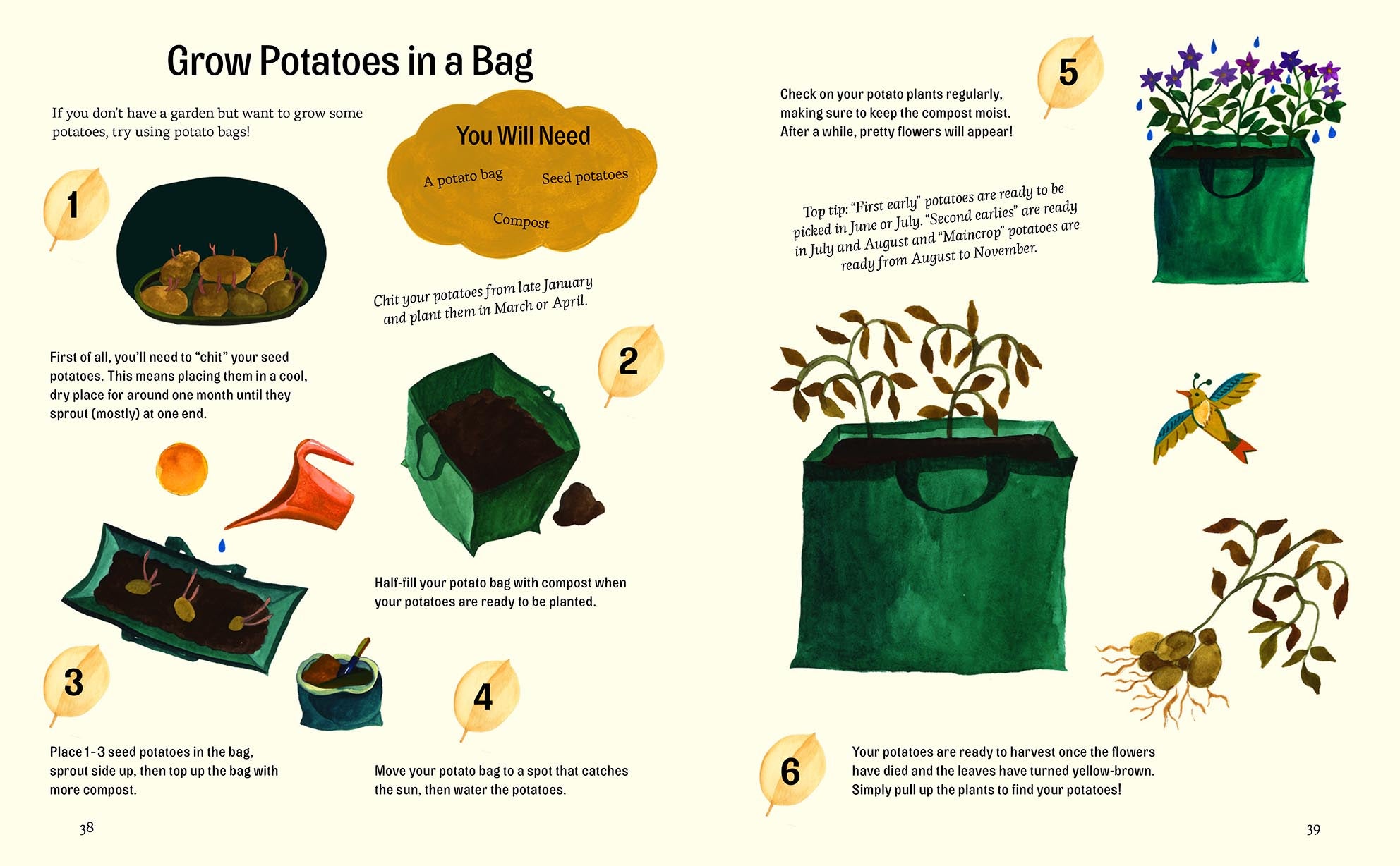 Gestalten Little Green Fingers