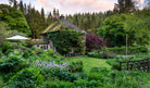 The Avant Gardens