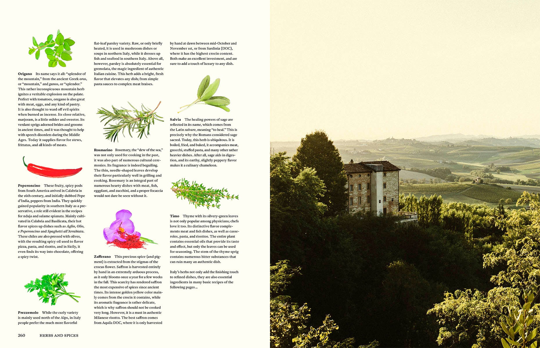 Originale: Italian Cooking