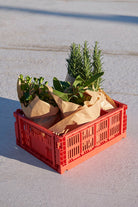 HAY Colour Crate Medium Red