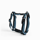 HAY Dog Harness Blue Black