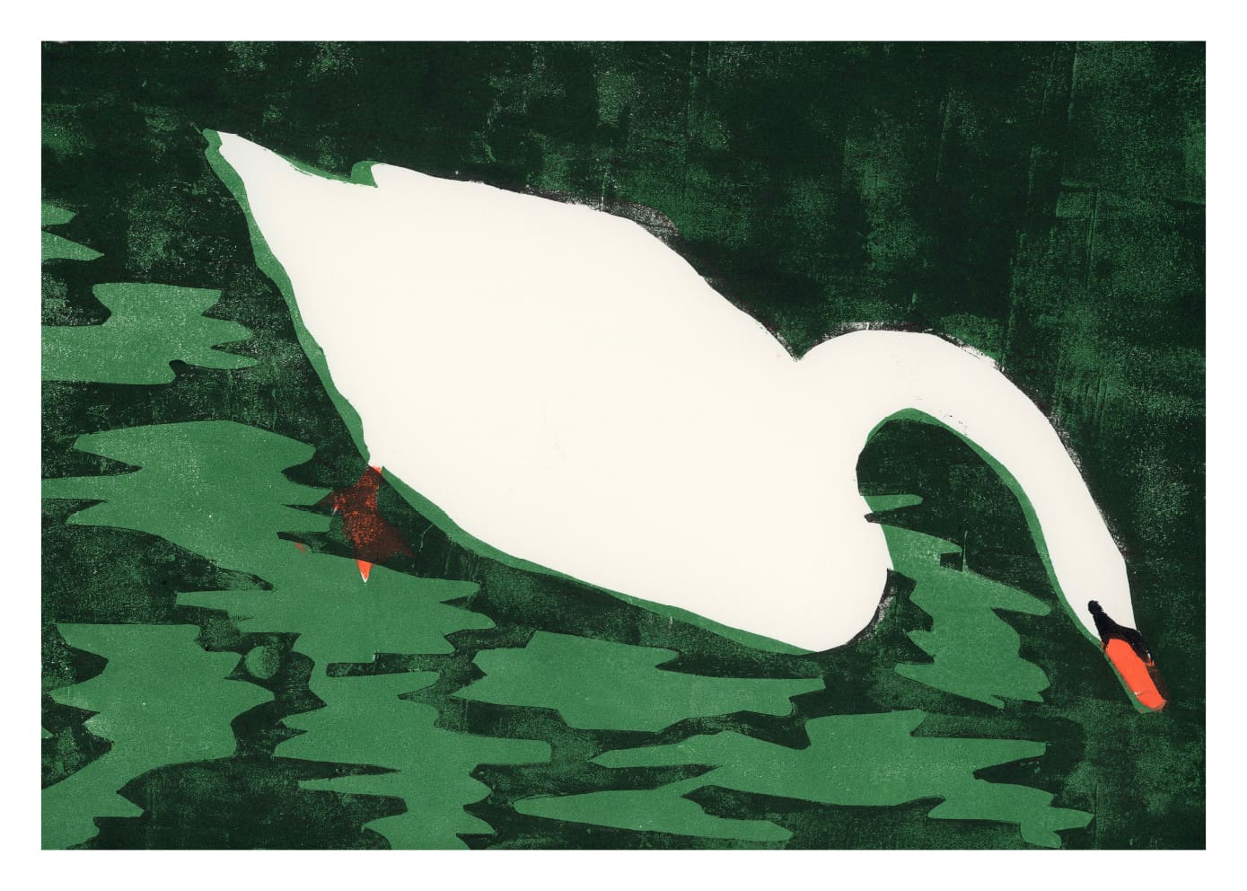 Cisne Blanco by Marina García Fernández Animal Art Print