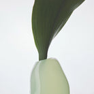 Studio Milligram Casper Vase - Pistachio
