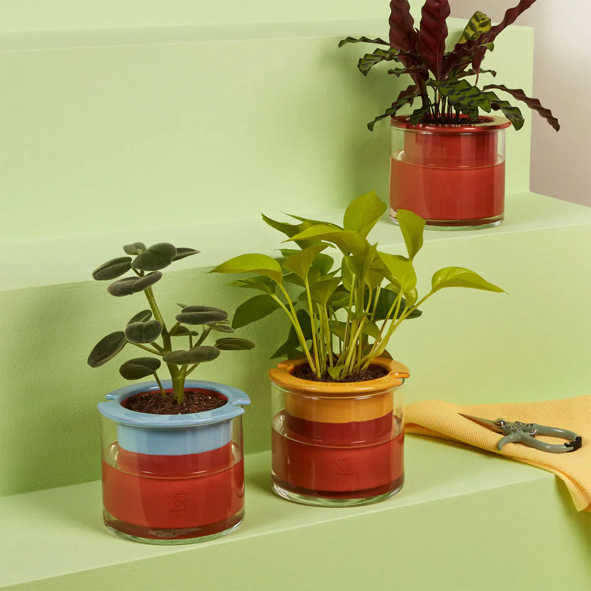 Wet Pot Planter - Small - Yellow