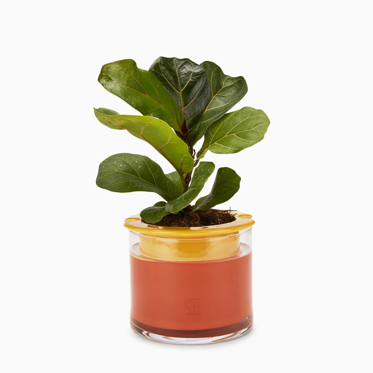 Wet Pot Planter - Small - Yellow