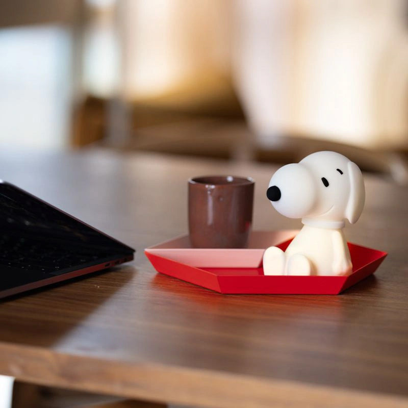 Mr. Maria Snoopy Bundle Of Light