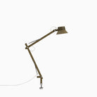 Muuto Dedicate Table Lamp S2 Brown Green with Pin