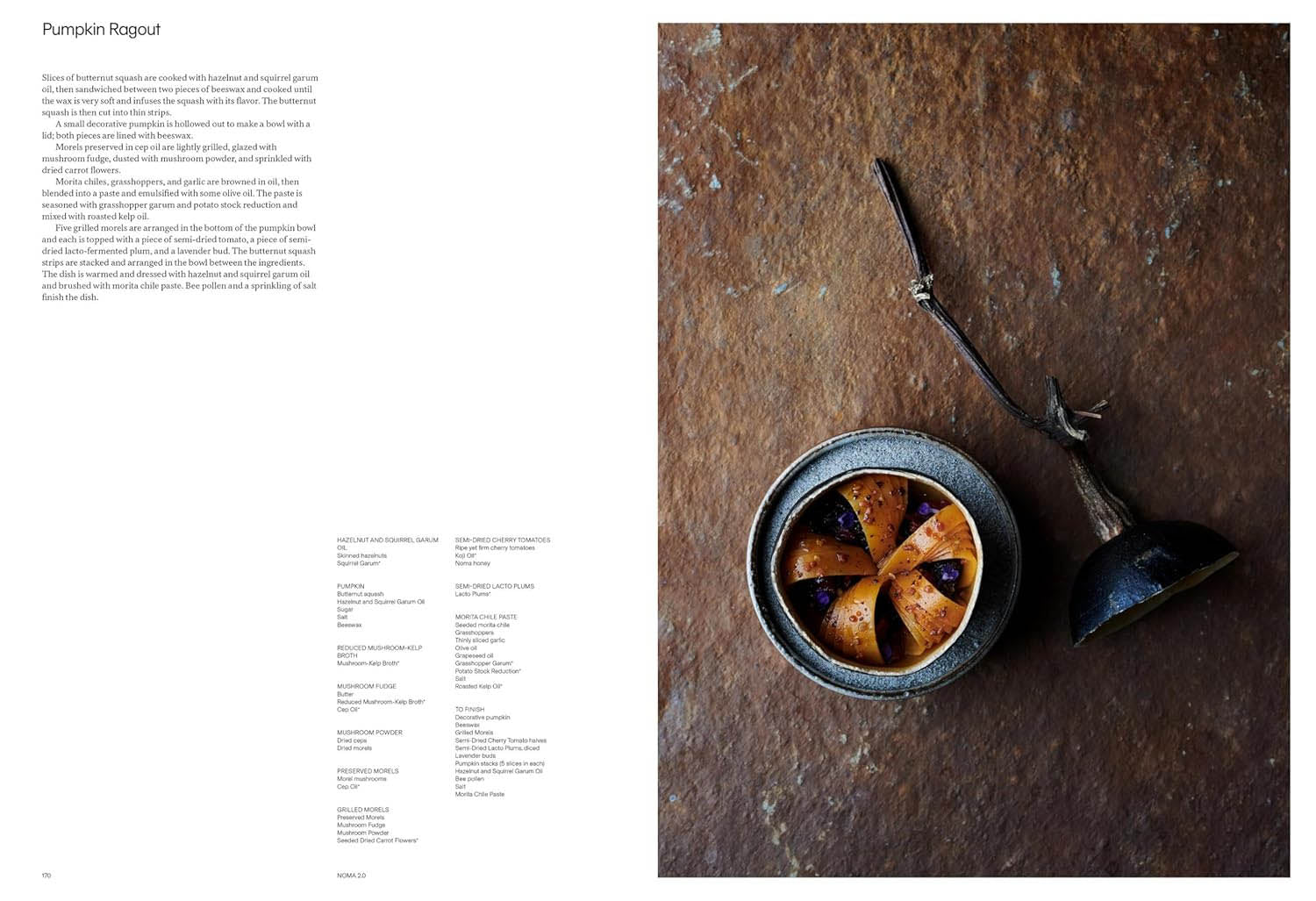 Noma 2.0 Book - Vegetable, Forest, Ocean