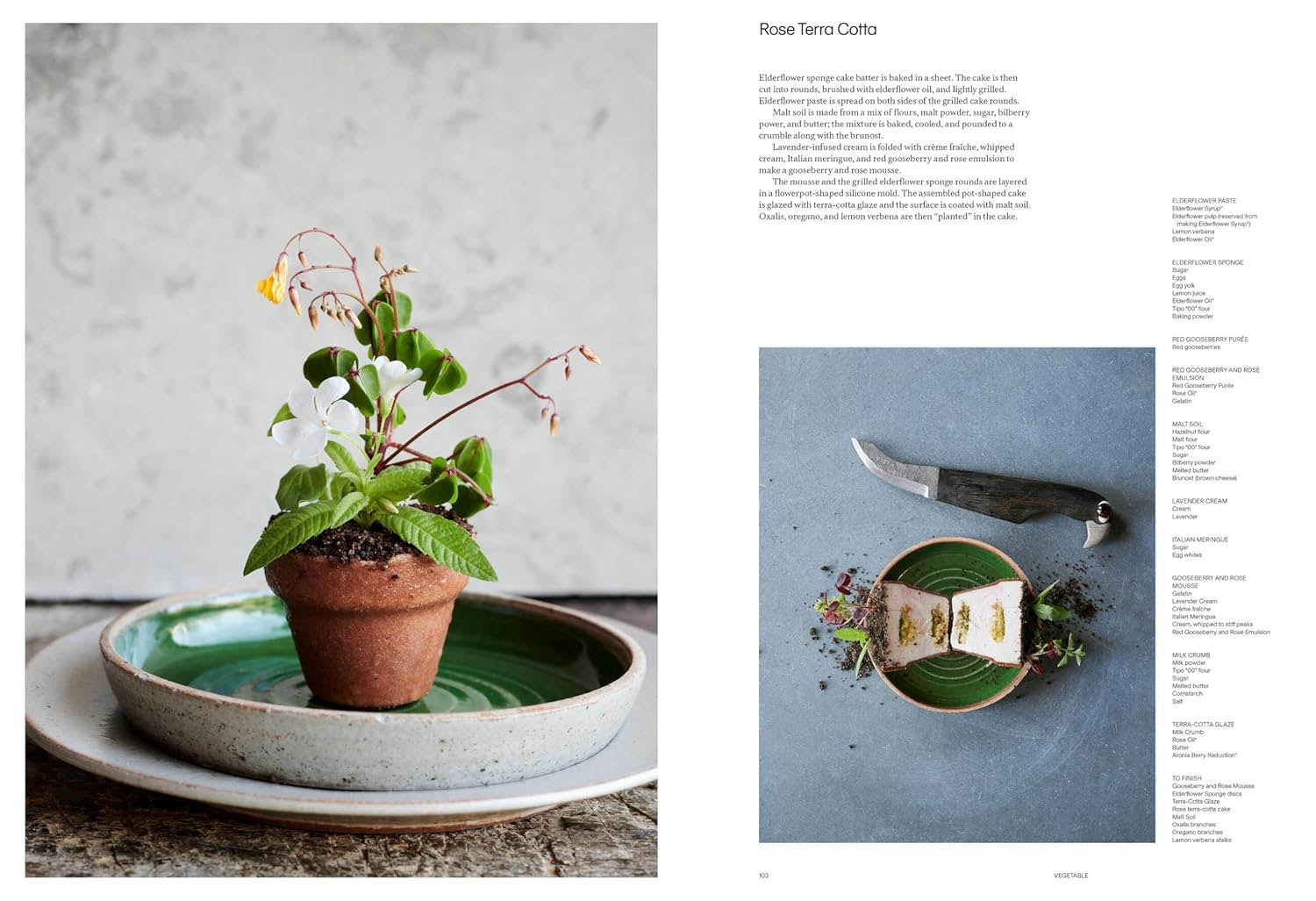 Noma 2.0 Book - Vegetable, Forest, Ocean
