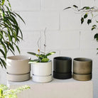 Plant Society Cora Planter Small Moss