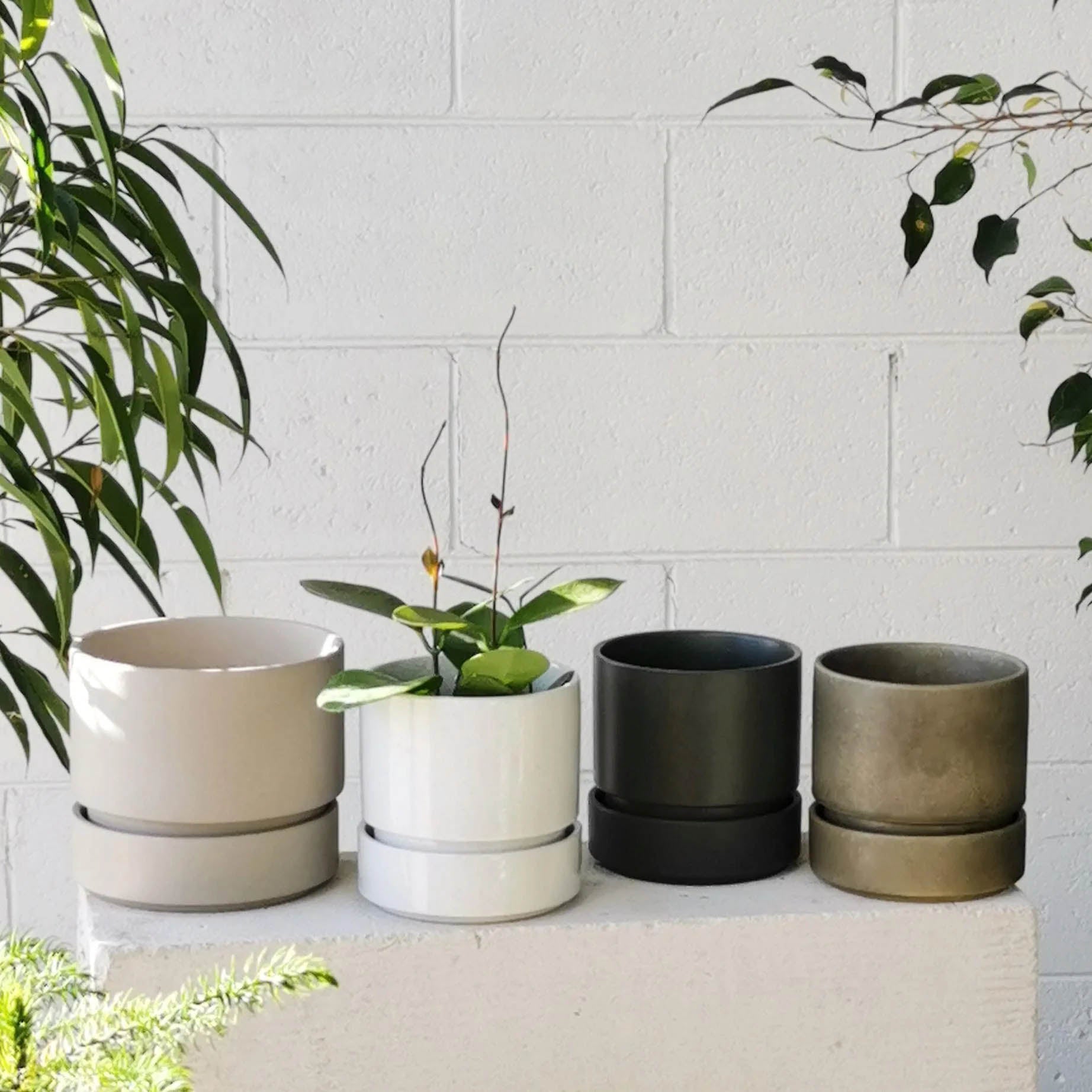 Plant Society Cora Planter Small Moss