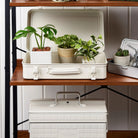 Toyo Steel T360 White