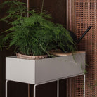 Ferm Living Oak Tray for Plant Box