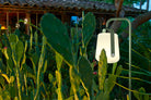 Fermob Balad 25cm Cactus