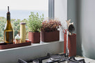HAY Facade Herb Pot Dark Terracotta