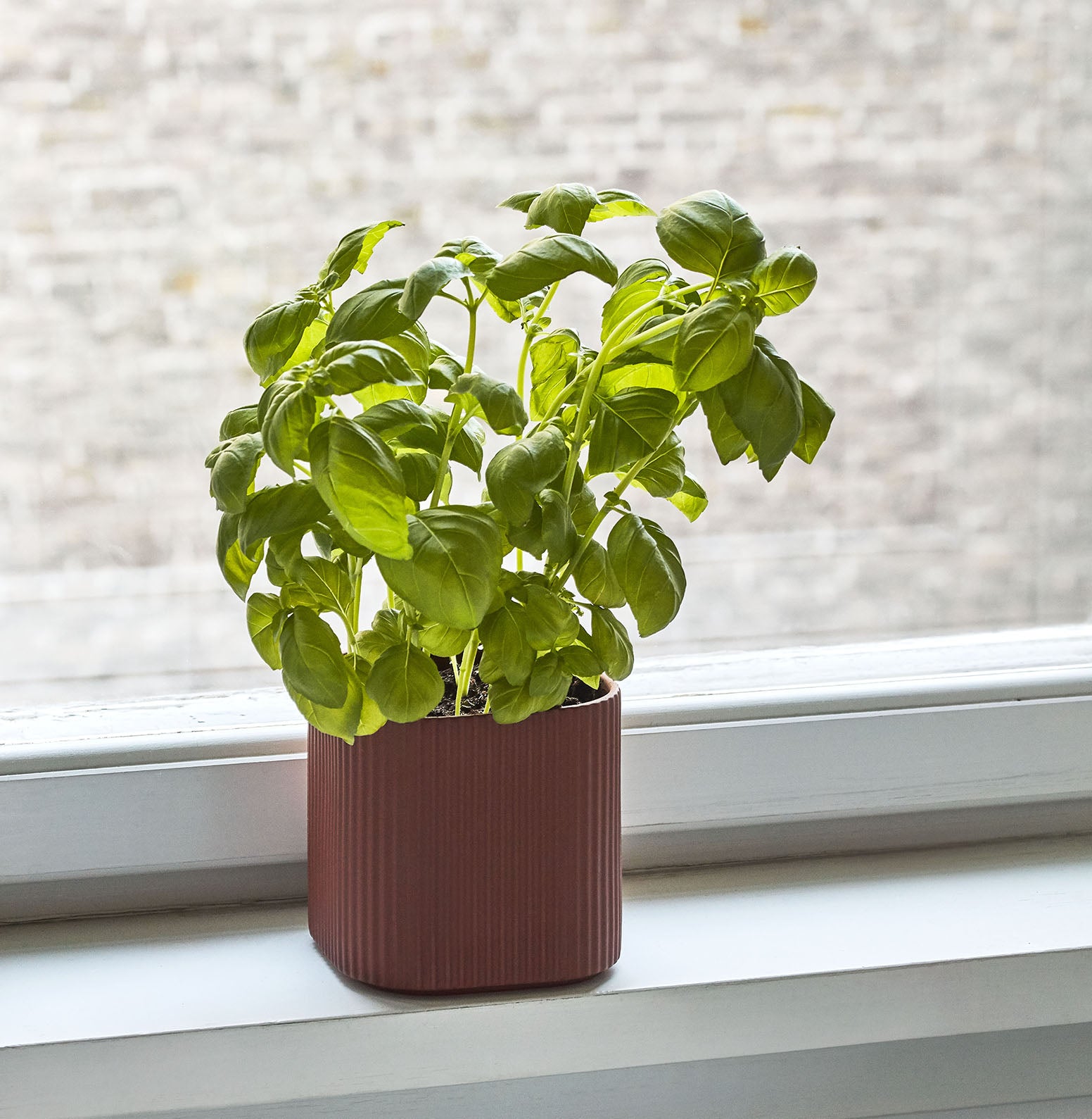 HAY Facade Herb Pot Dark Terracotta
