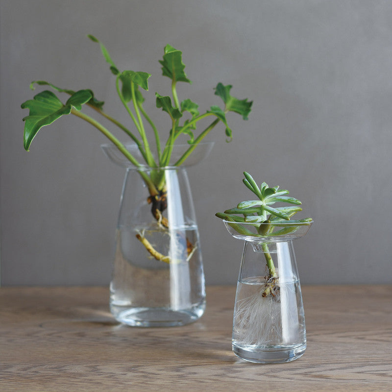 Kinto Aqua Culture Vase Small Clear