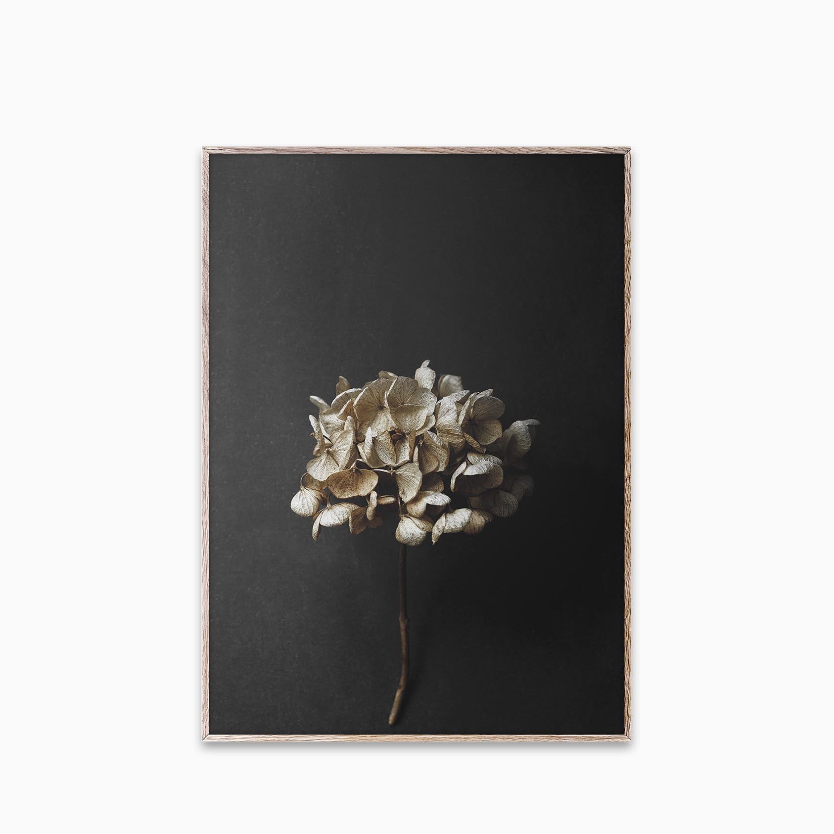 Paper Collective Still Life 04 Print 50x70cm
