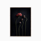 Paper Collective Still Life 02